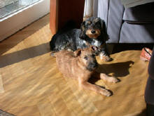 Lutzi und Jule!